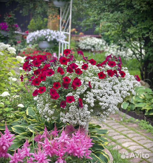 Кашпо-миска Ливия