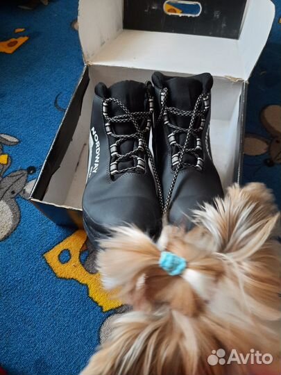 Лыжи беговые 190 и ботинки к ним 42 р