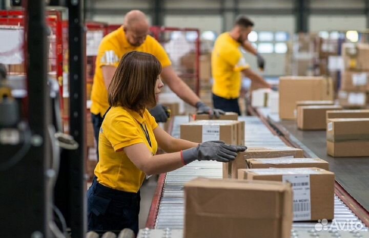 Комплектовщик тсд lr