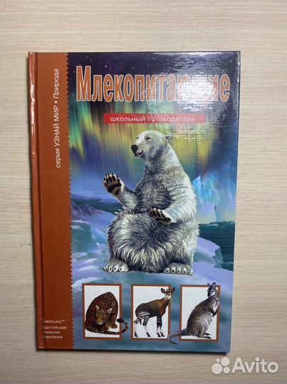 Млекопитающие, школьный путеводитель