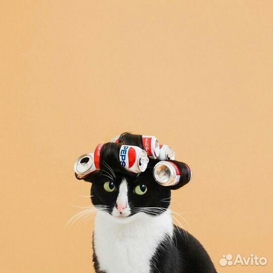 Стрижка собак и кошек с выездом на дом