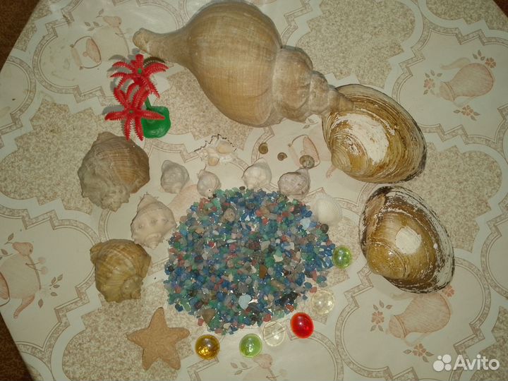 Все для аквариума