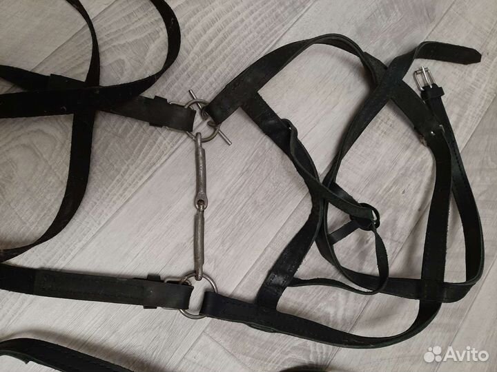 Узда для лошади