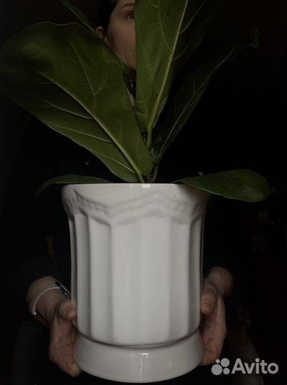 Набор горшков для цветов керамика