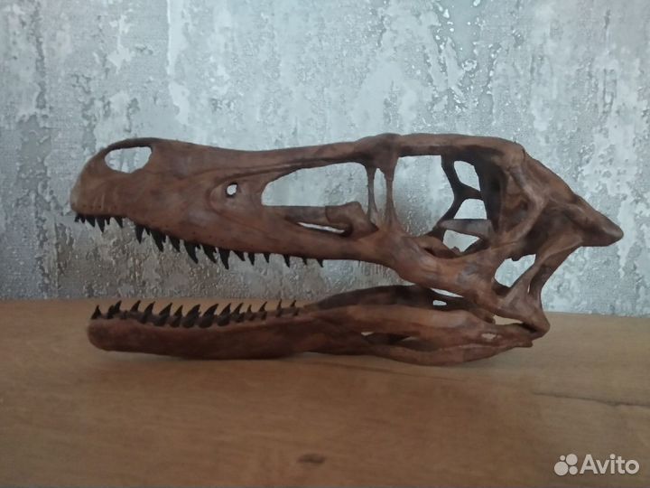 Черепа динозавров