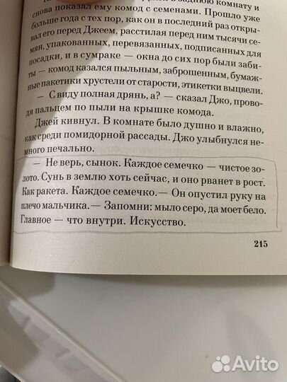 Книга ежевичное вино