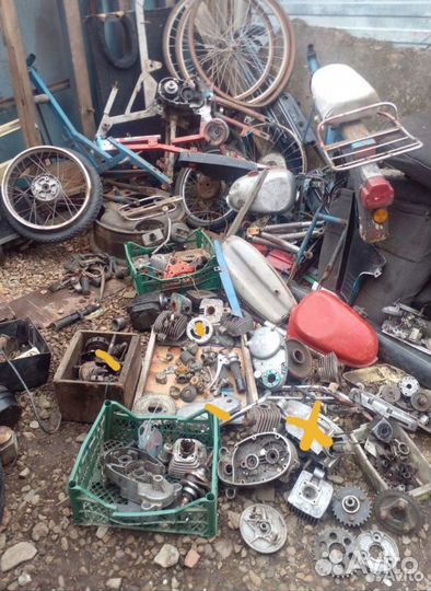 Рига Карпаты Дельта