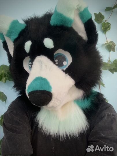 Фурсьют собаки