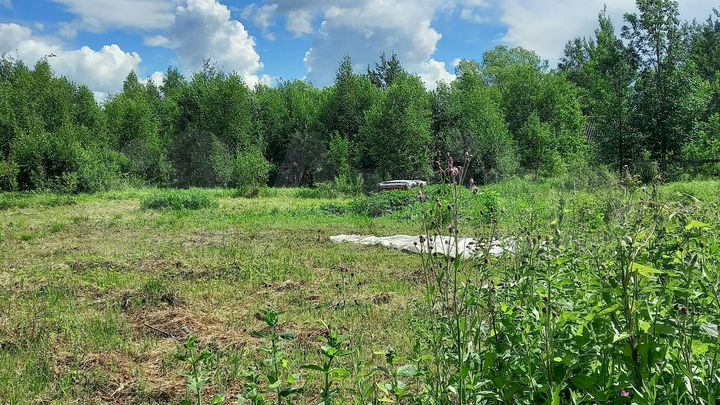 Дом 29,8 м² на участке 40 сот.