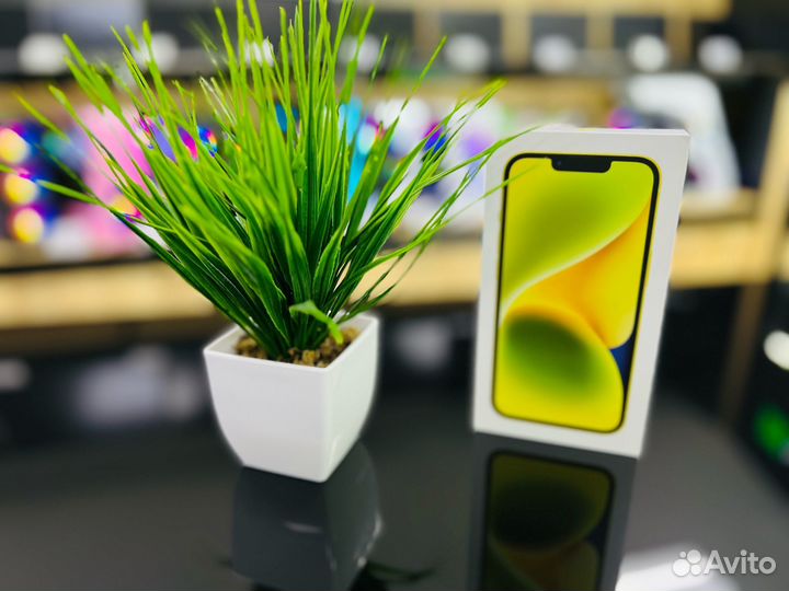 iPhone 14, 256 ГБ