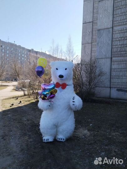 Поздравление от Кокоса