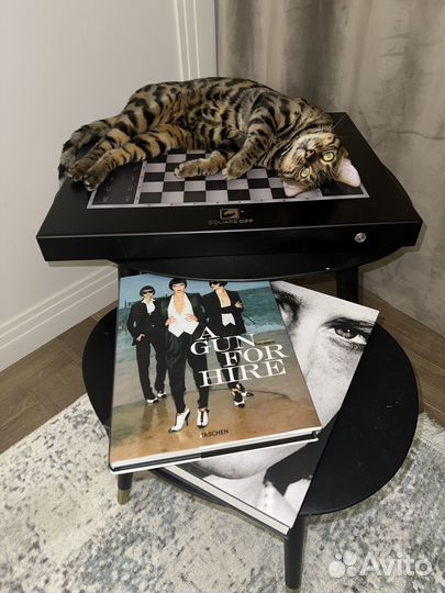 Вязка с бенгальским котом