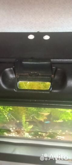 Аквариум с рыбками и принадлежностями