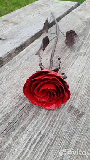 Роза кованая