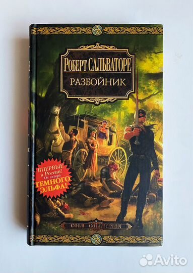 Книга Р. Сальваторе Разбойник
