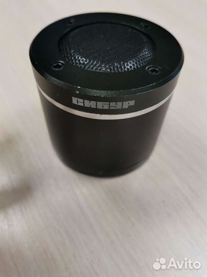 Портативная колонка