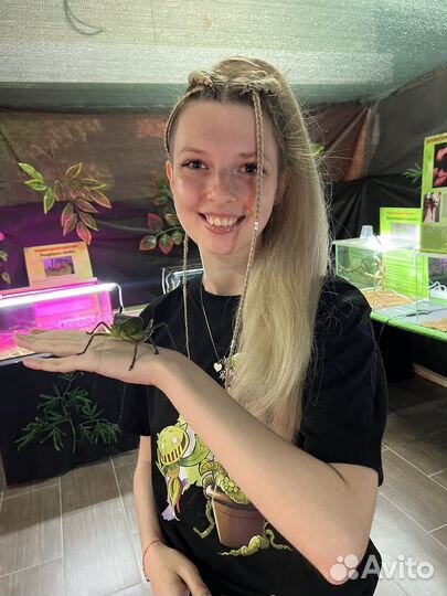 Передержка животных