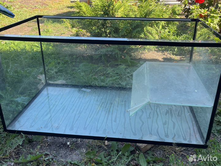 Аквариум без крышки