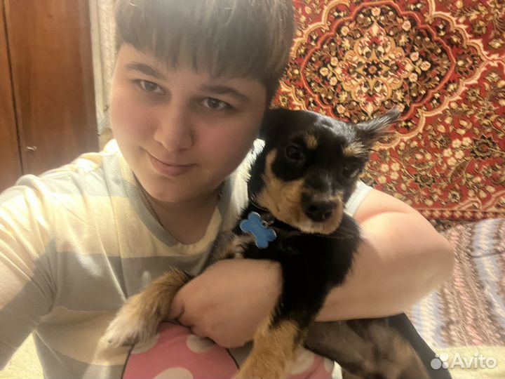 Уберусь в квартире