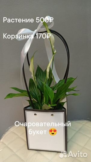 Женское счастье