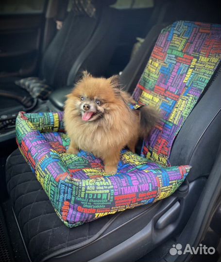 Автомобильное кресло для собак