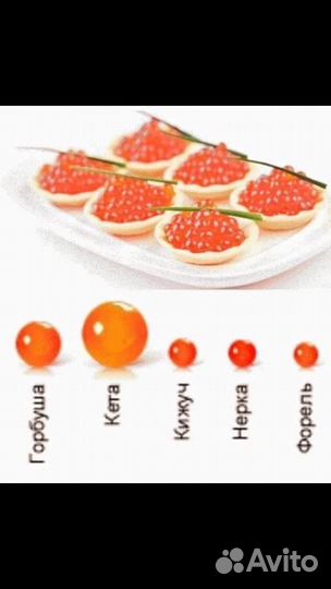Икра красная Горбуши 2023