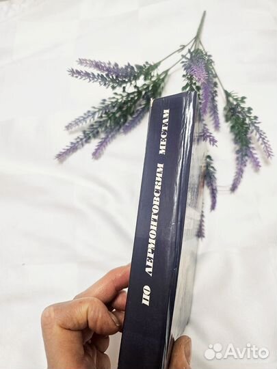 Путеводитель 