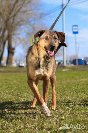 Август- милый, нежный мальчик, пусть тебе повезет