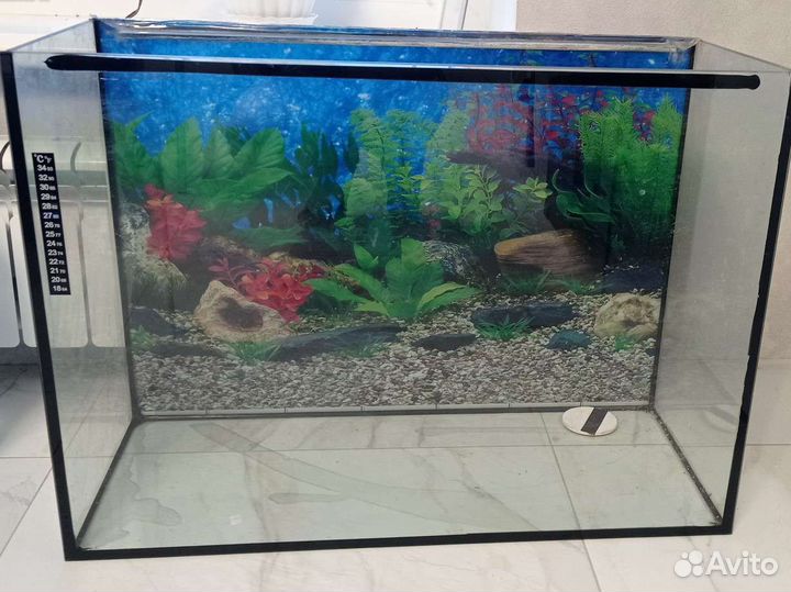 Аквариум