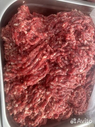 Продам Мясо говядина