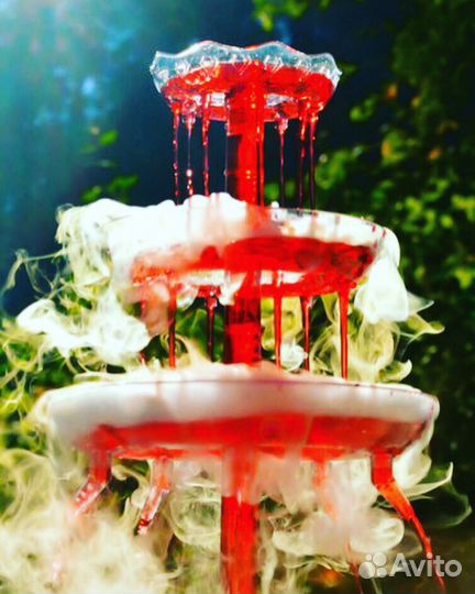 Пирамида шампанского, шоколадный фонтан, лимонад б