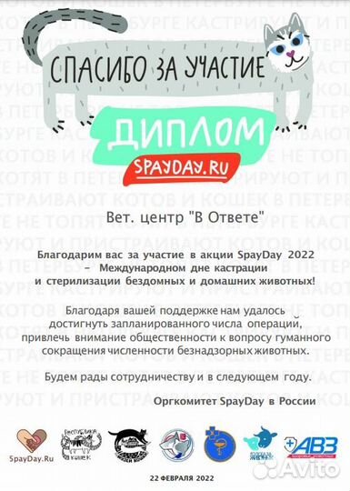 Кастрация котов и кошек