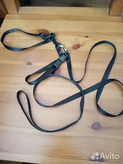 Шлейка и поводок для кошек