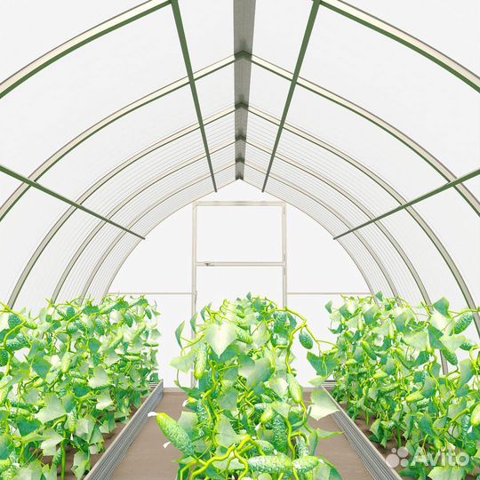 Теплица капелька