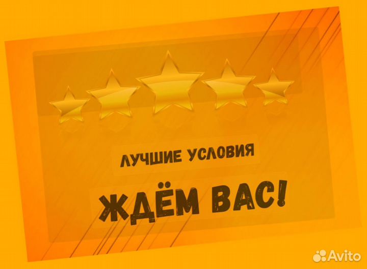 Комплектовщик Спецодежда Еженедельный аванс М/Ж