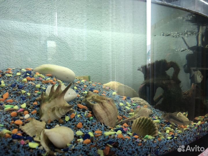 Аквариум aquael 55-60 литров с рыбками