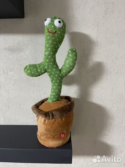 Танцующий кактус