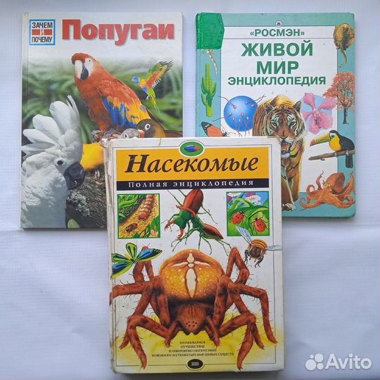 Детские энциклопедии