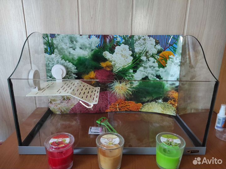 Аквариум, террариум, палюдариум