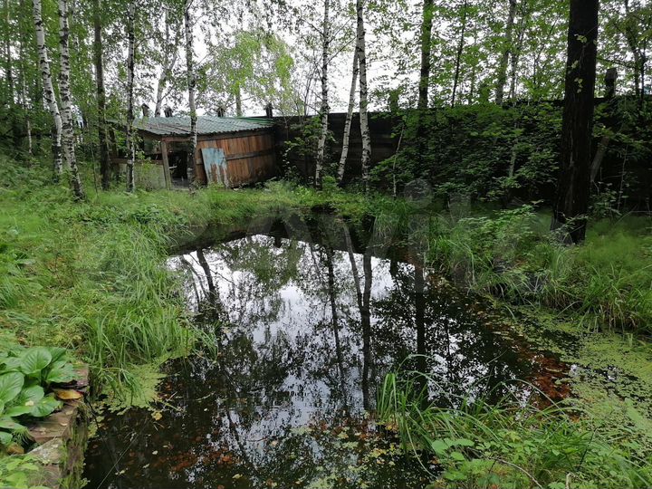 Участок 10 сот. (СНТ, ДНП)