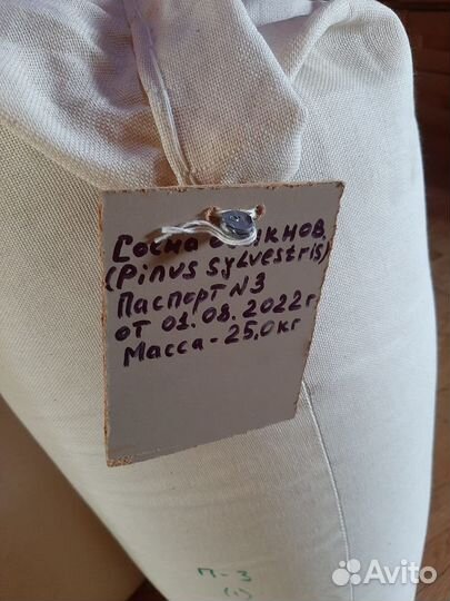 Семена / Ель обыкновенная