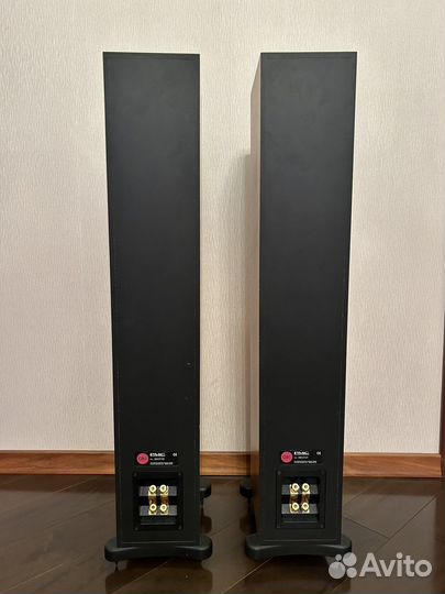 Напольные колонки PMC GB 1