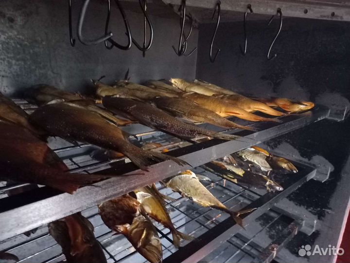 Рыба горячего копчения