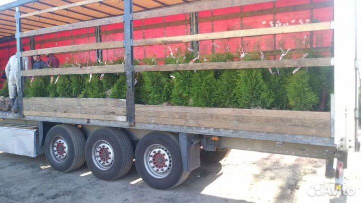 Грузоперевозки зерновых и удобрений