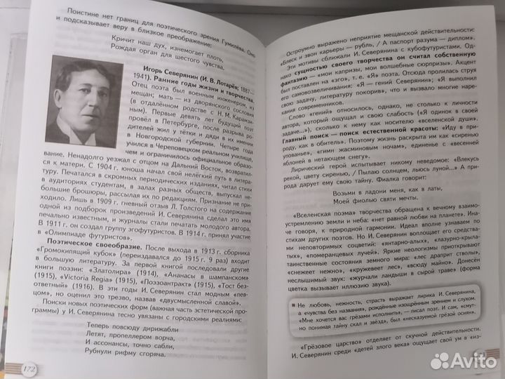 Учебник по Литературе 11 класс