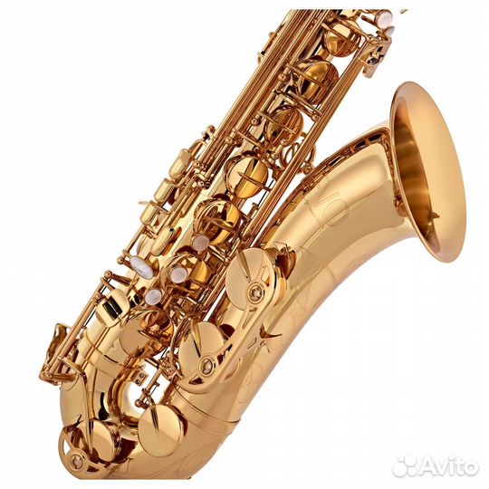 Тенор саксофон Trevor James SR EVO 384SE-kkim