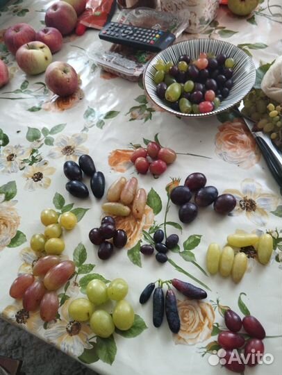 Черенки и саженцы винограда