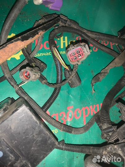 Проводка подкапотная Ford Fusion седан 1.6Л 2007