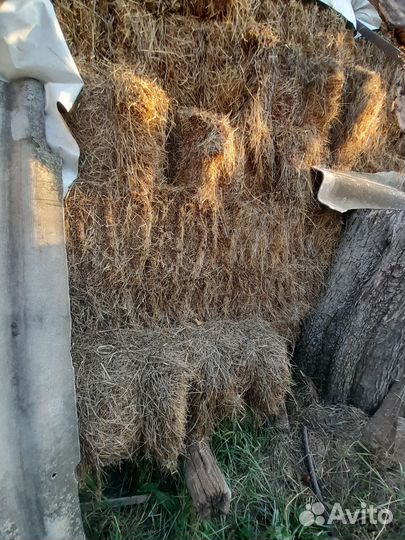 Сено в тюках