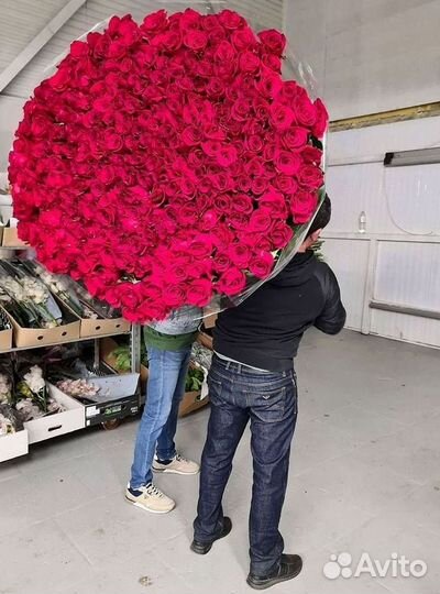 51 Роза, Букеты Цветы Розы 25 101 501 1001